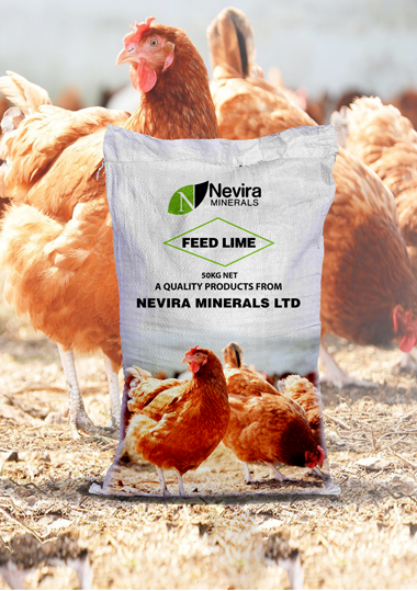image of animal production